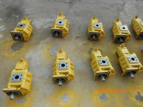 專業雙聯齒輪油泵選購指南 廠家、型號、質量與價格全解析